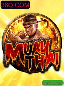 MuayThai: A Arte Marcial Tailandesa e a Plataforma 36Q.COM